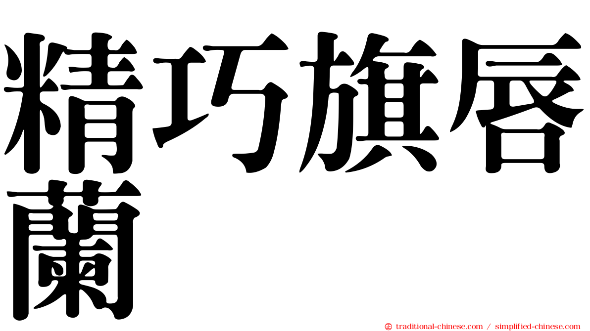 精巧旗唇蘭