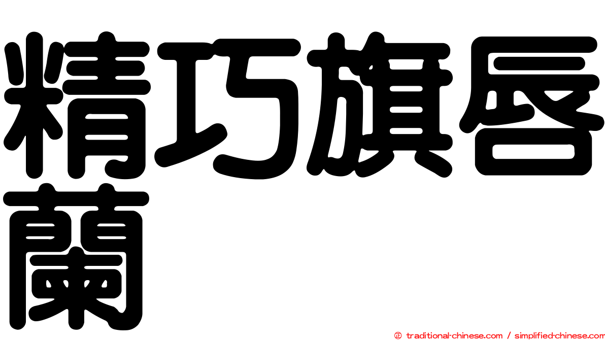精巧旗唇蘭