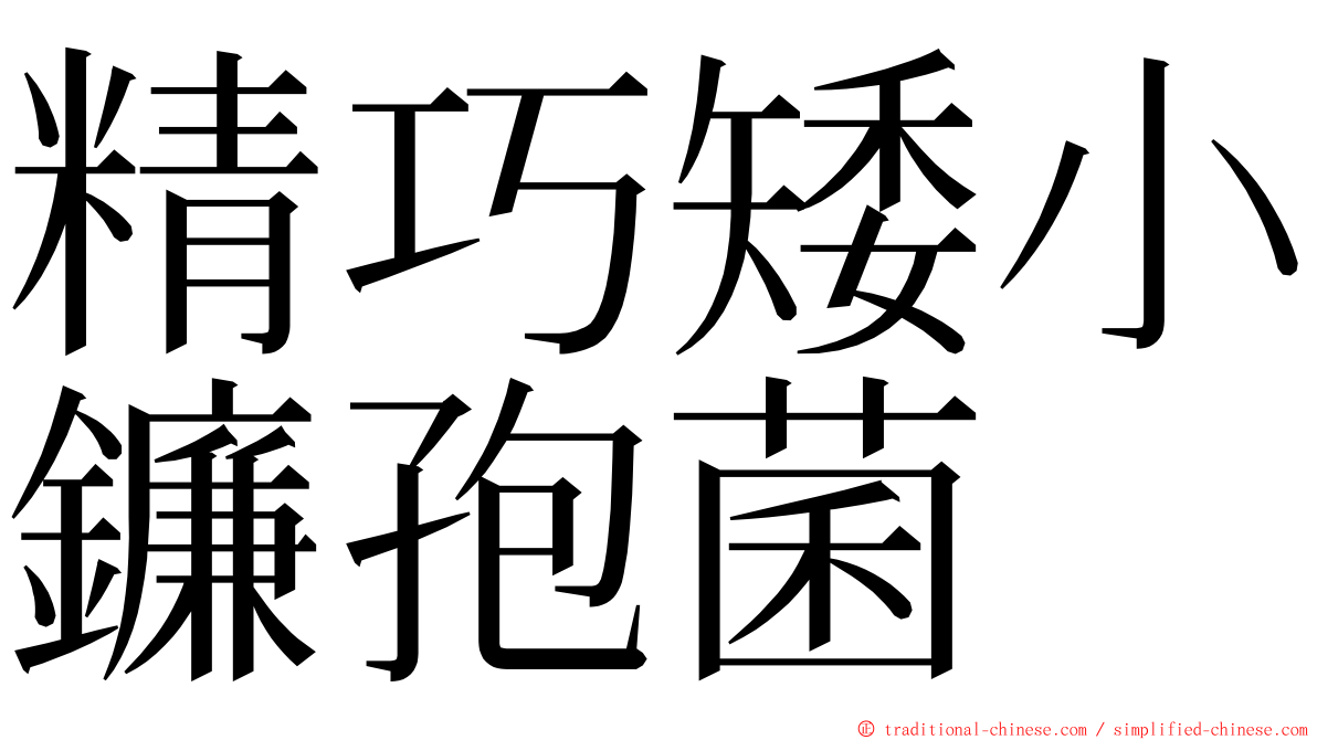 精巧矮小鐮孢菌 ming font
