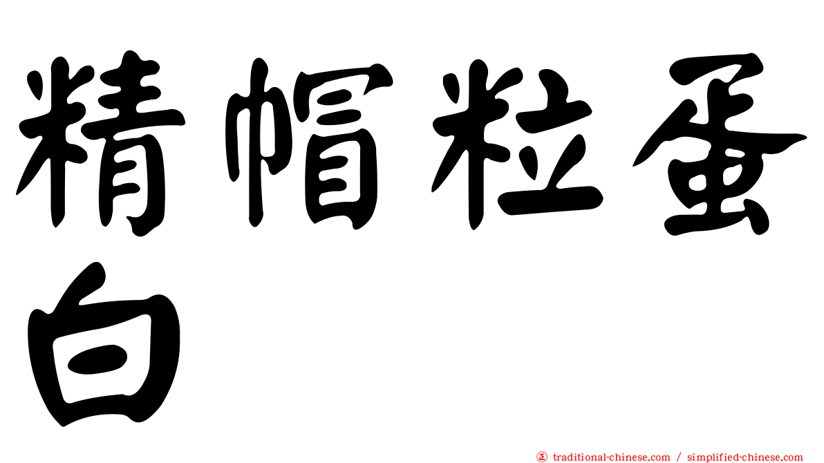 精帽粒蛋白