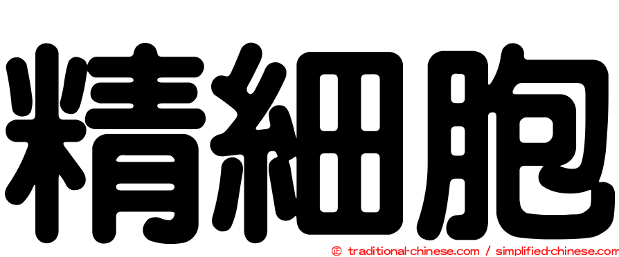 精細胞