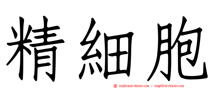 精細胞