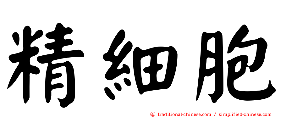 精細胞