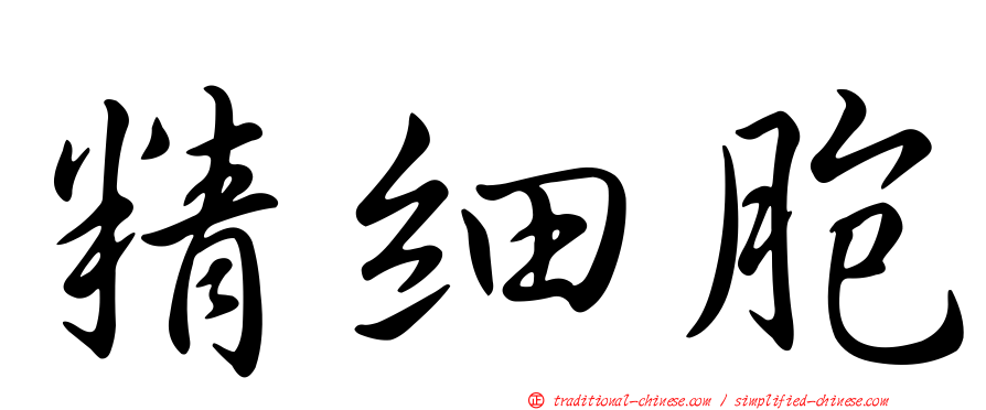 精細胞