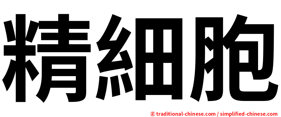 精細胞