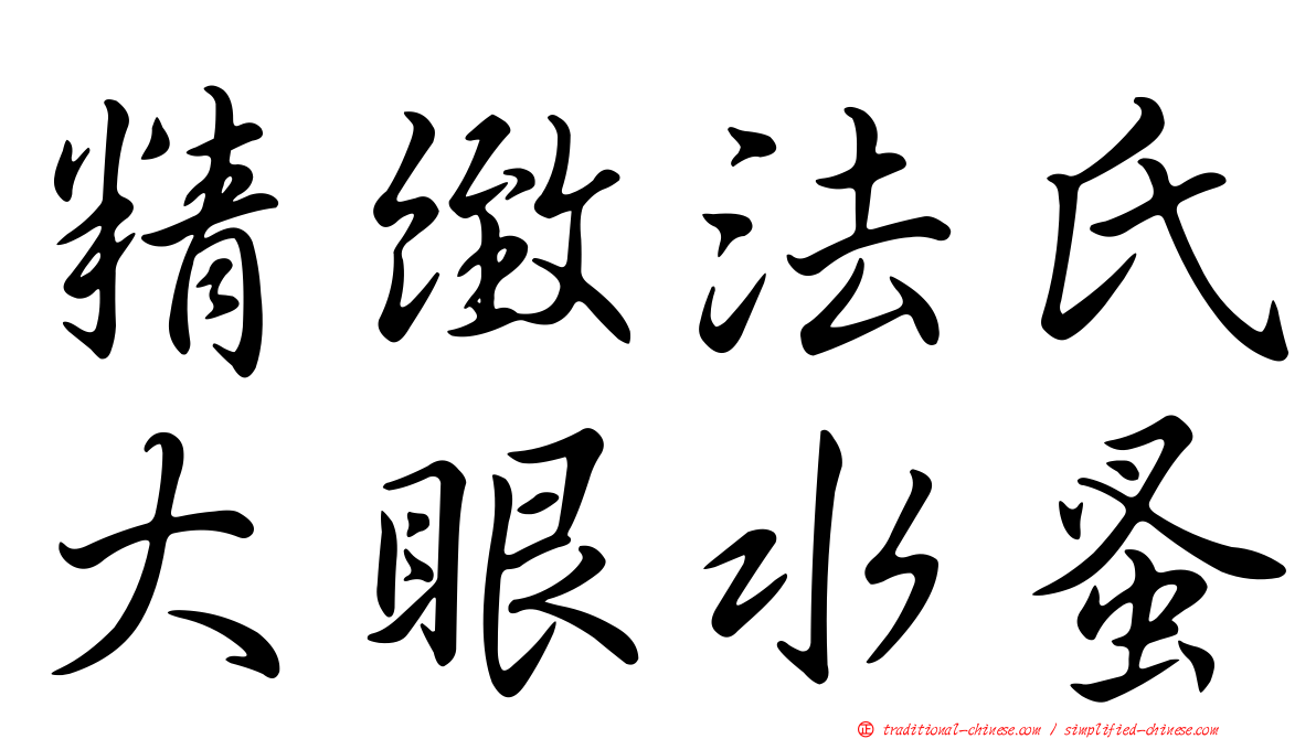 精緻法氏大眼水蚤