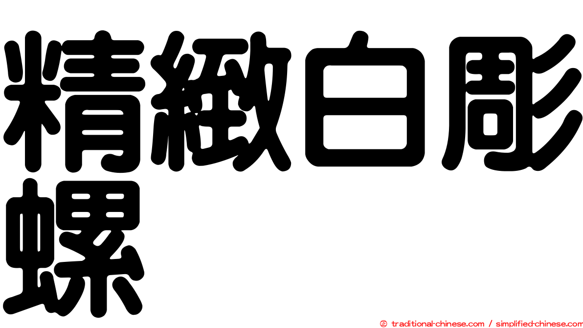 精緻白彫螺