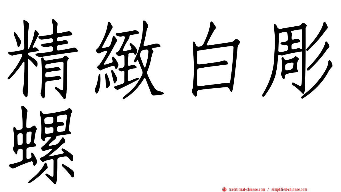 精緻白彫螺