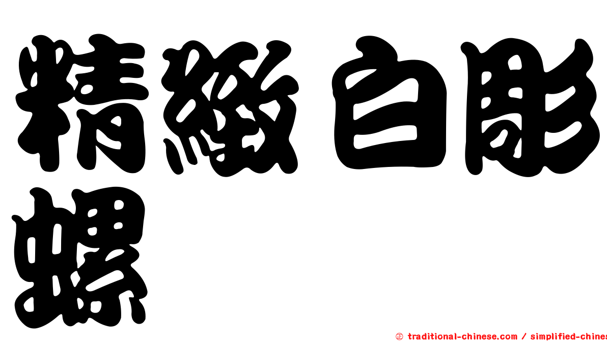 精緻白彫螺