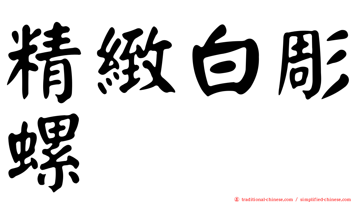 精緻白彫螺