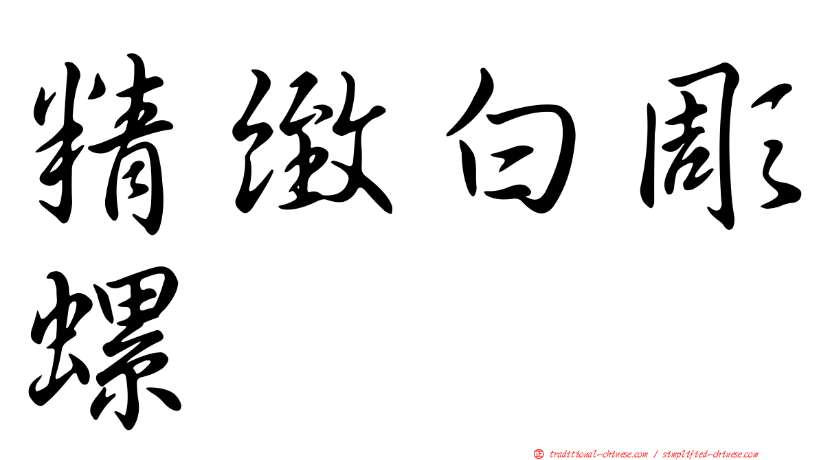 精緻白彫螺