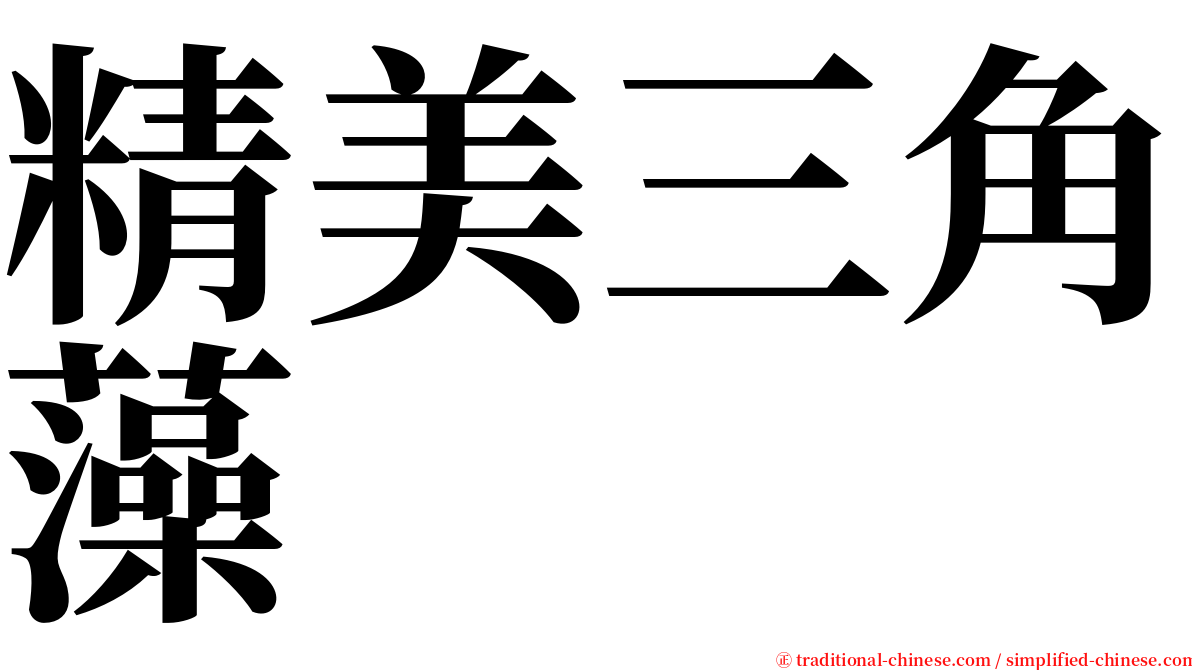 精美三角藻 serif font