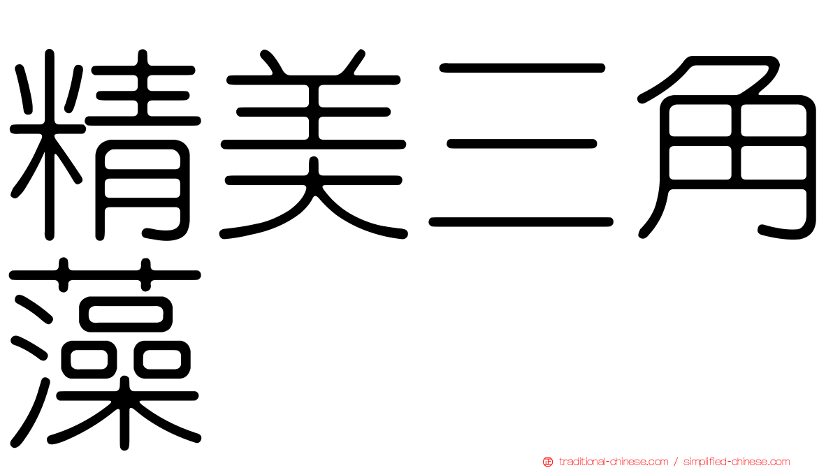 精美三角藻
