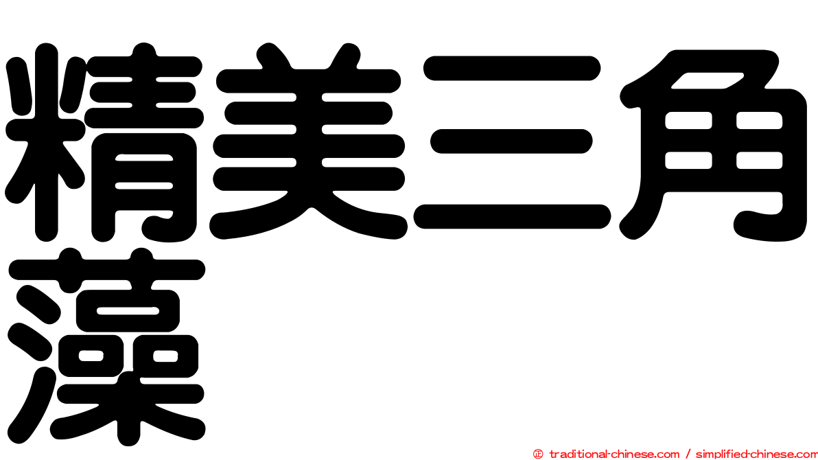 精美三角藻