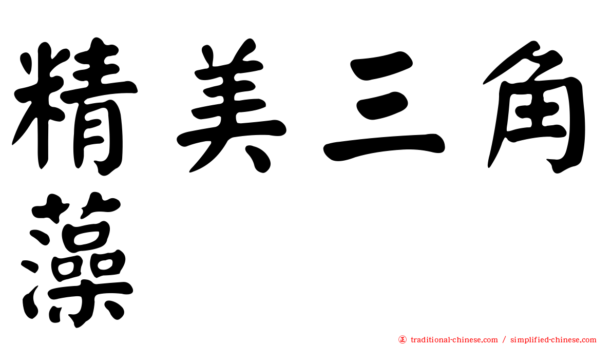 精美三角藻