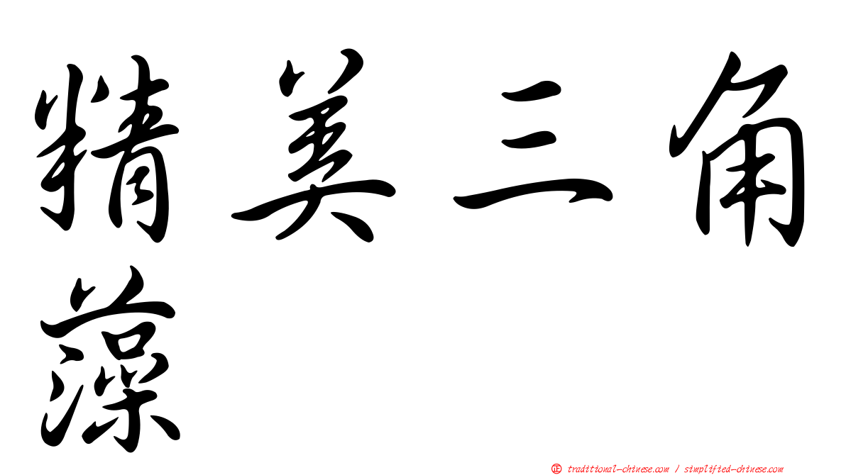 精美三角藻