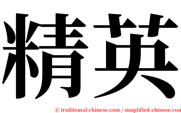 精英 serif font