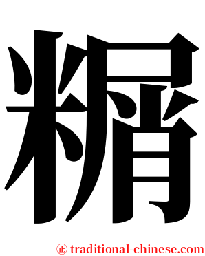 糏 serif font