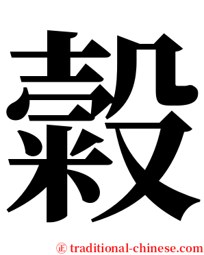 糓 serif font
