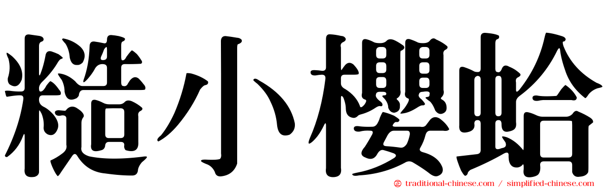 糙小櫻蛤