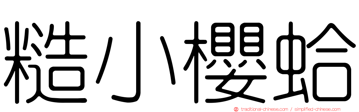 糙小櫻蛤
