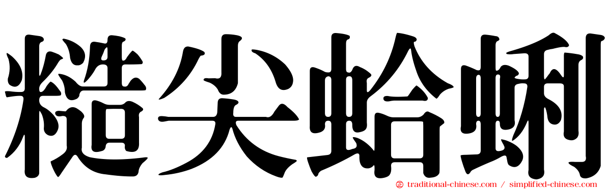 糙尖蛤蜊