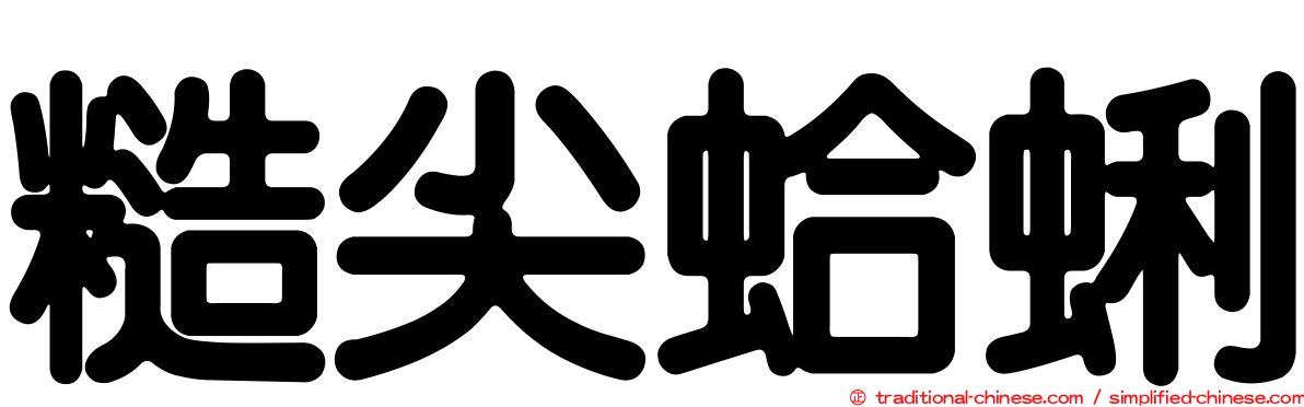 糙尖蛤蜊