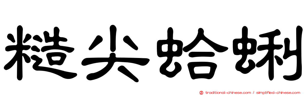 糙尖蛤蜊