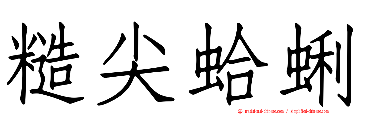 糙尖蛤蜊