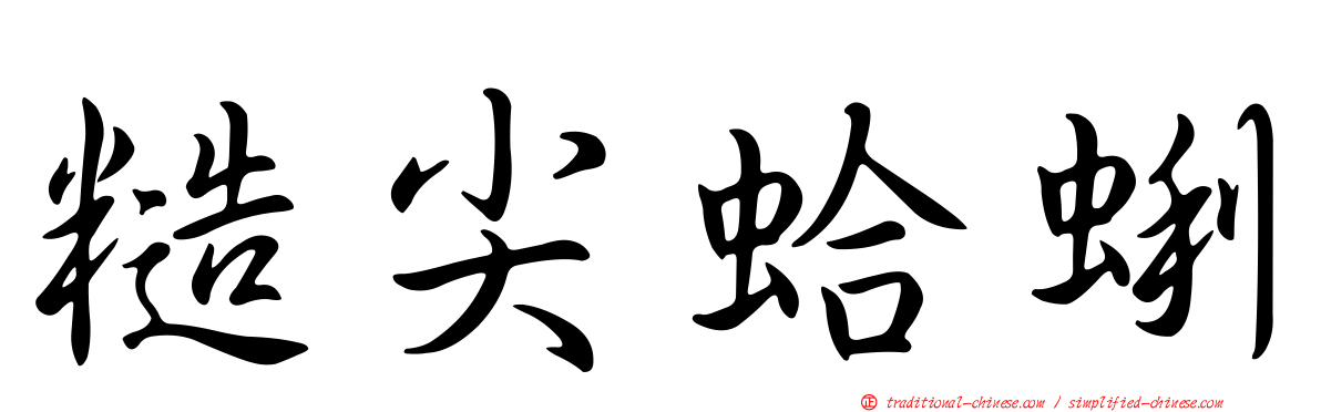 糙尖蛤蜊