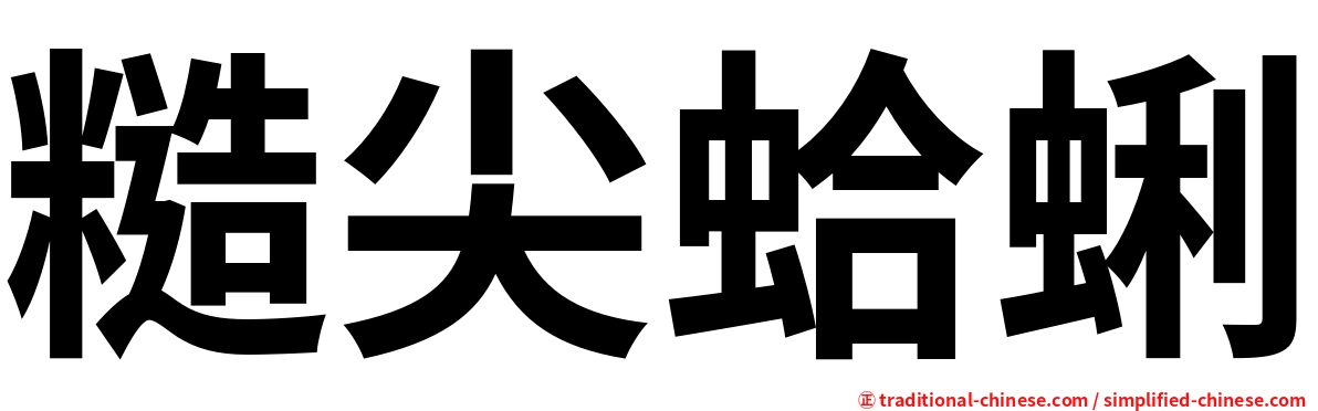 糙尖蛤蜊