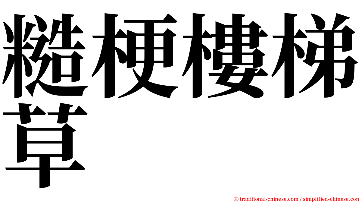糙梗樓梯草 serif font
