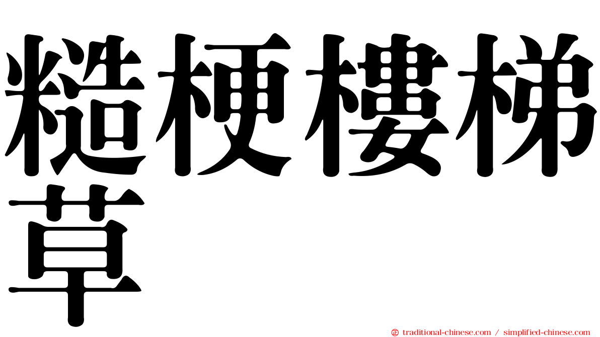 糙梗樓梯草