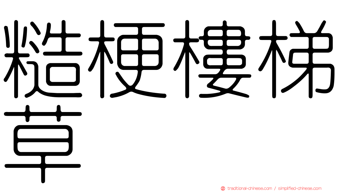 糙梗樓梯草