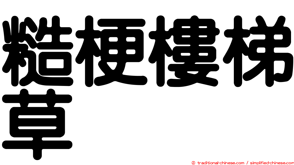 糙梗樓梯草