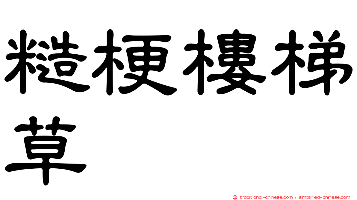糙梗樓梯草