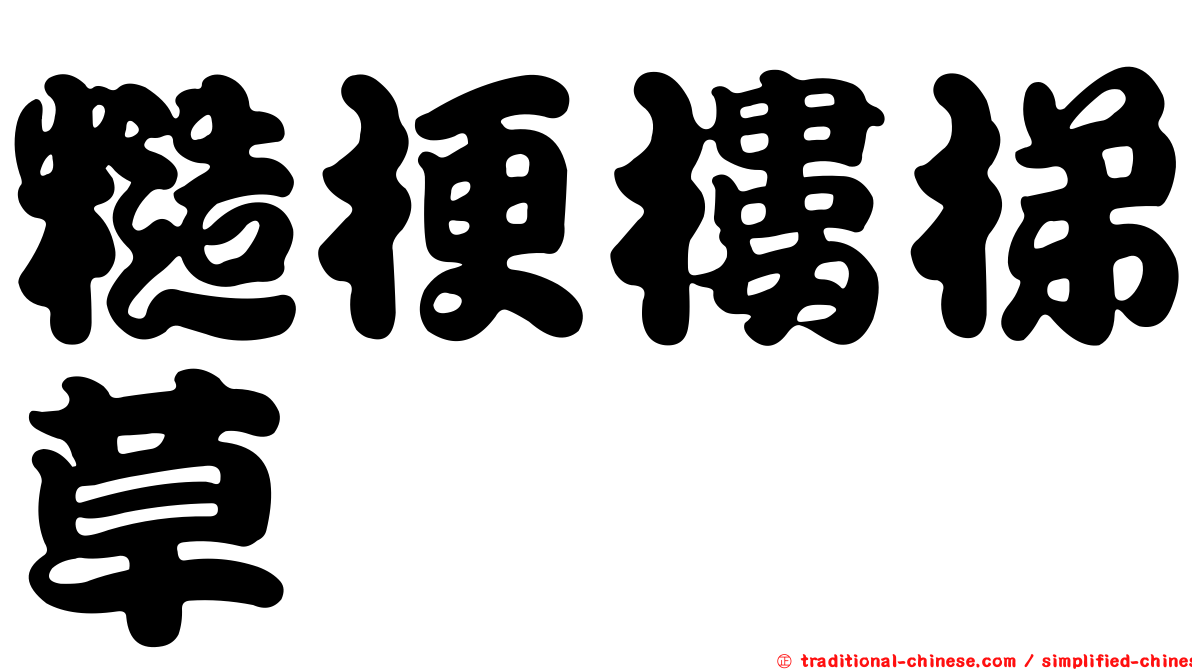 糙梗樓梯草