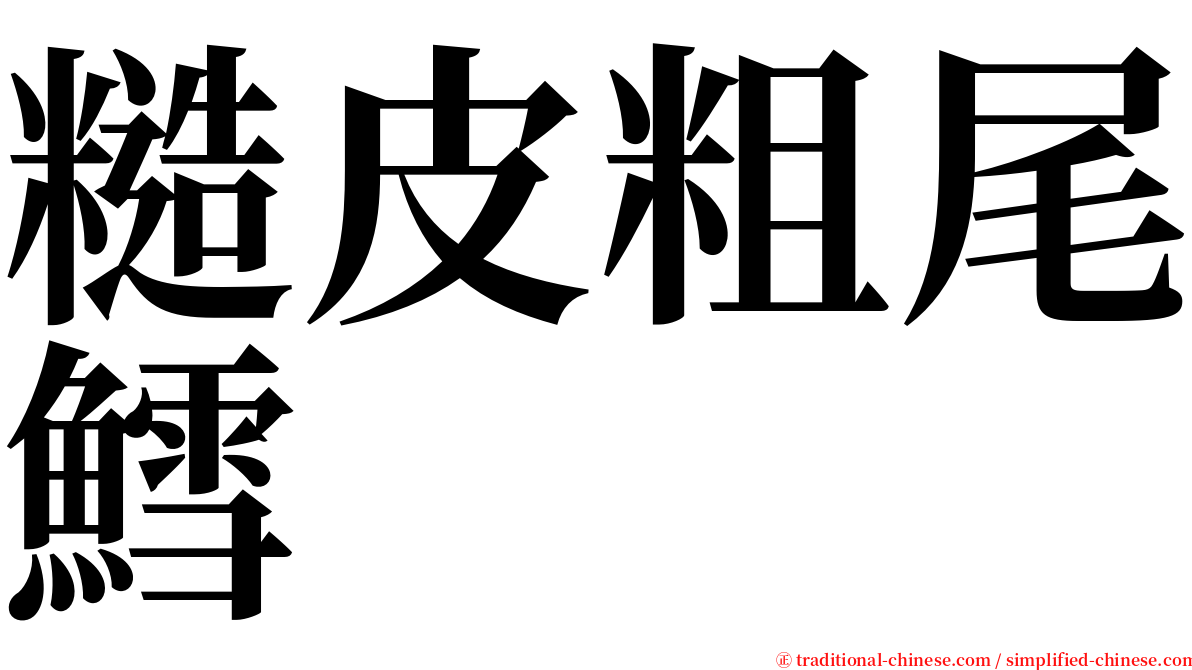 糙皮粗尾鱈 serif font