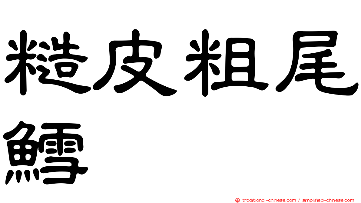糙皮粗尾鱈