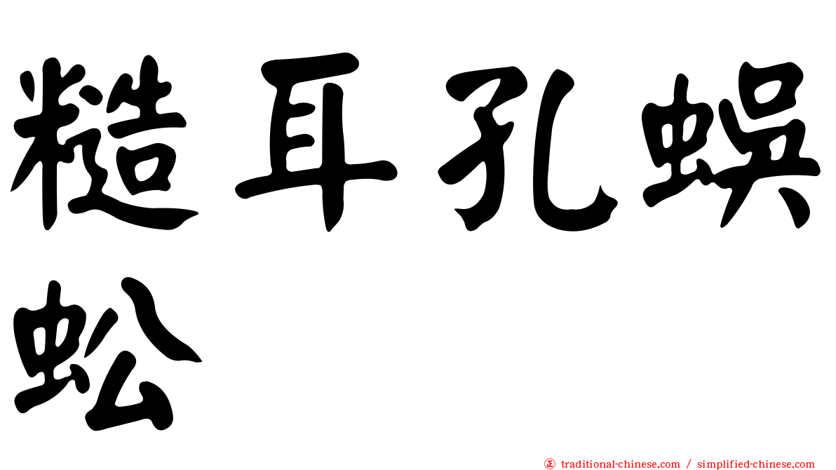 糙耳孔蜈蚣