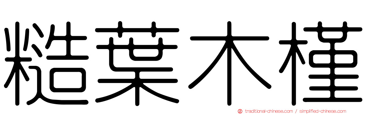 糙葉木槿