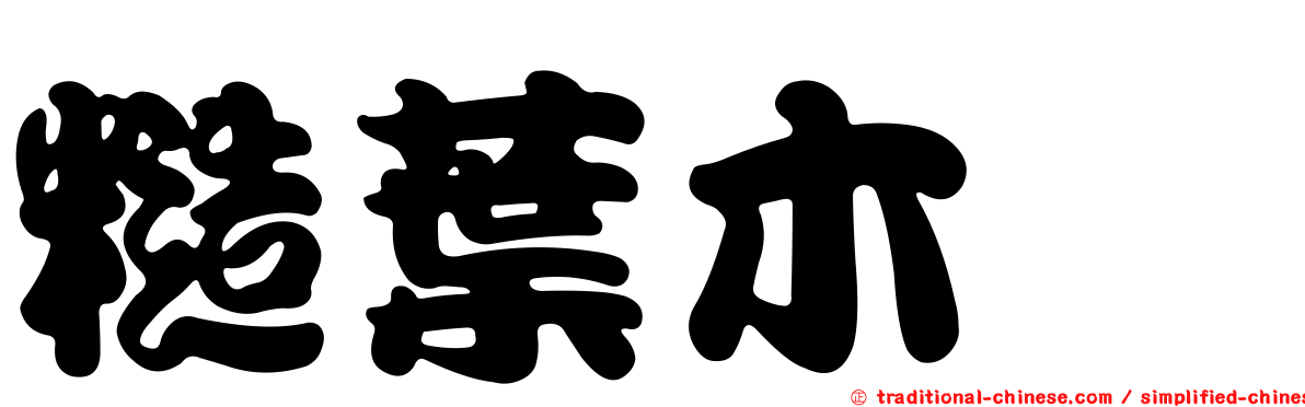 糙葉木槿