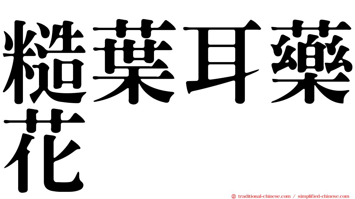 糙葉耳藥花