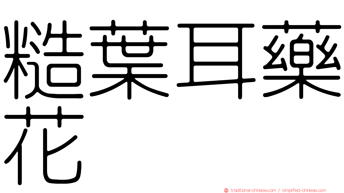 糙葉耳藥花