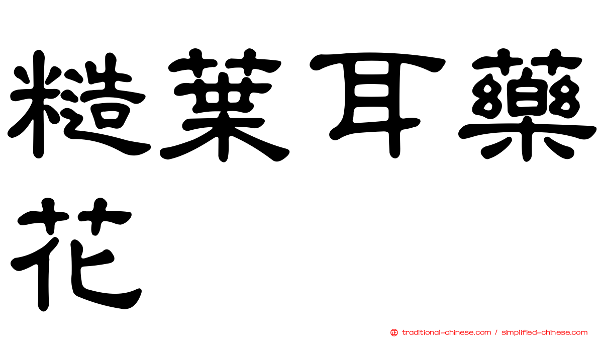 糙葉耳藥花