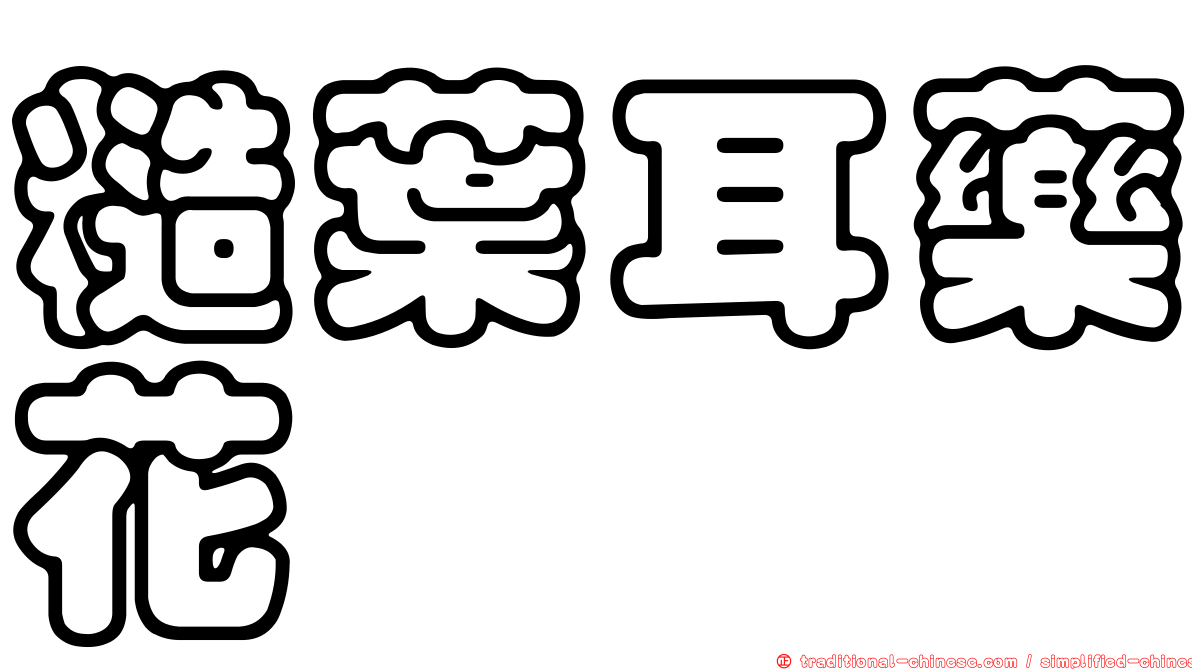 糙葉耳藥花