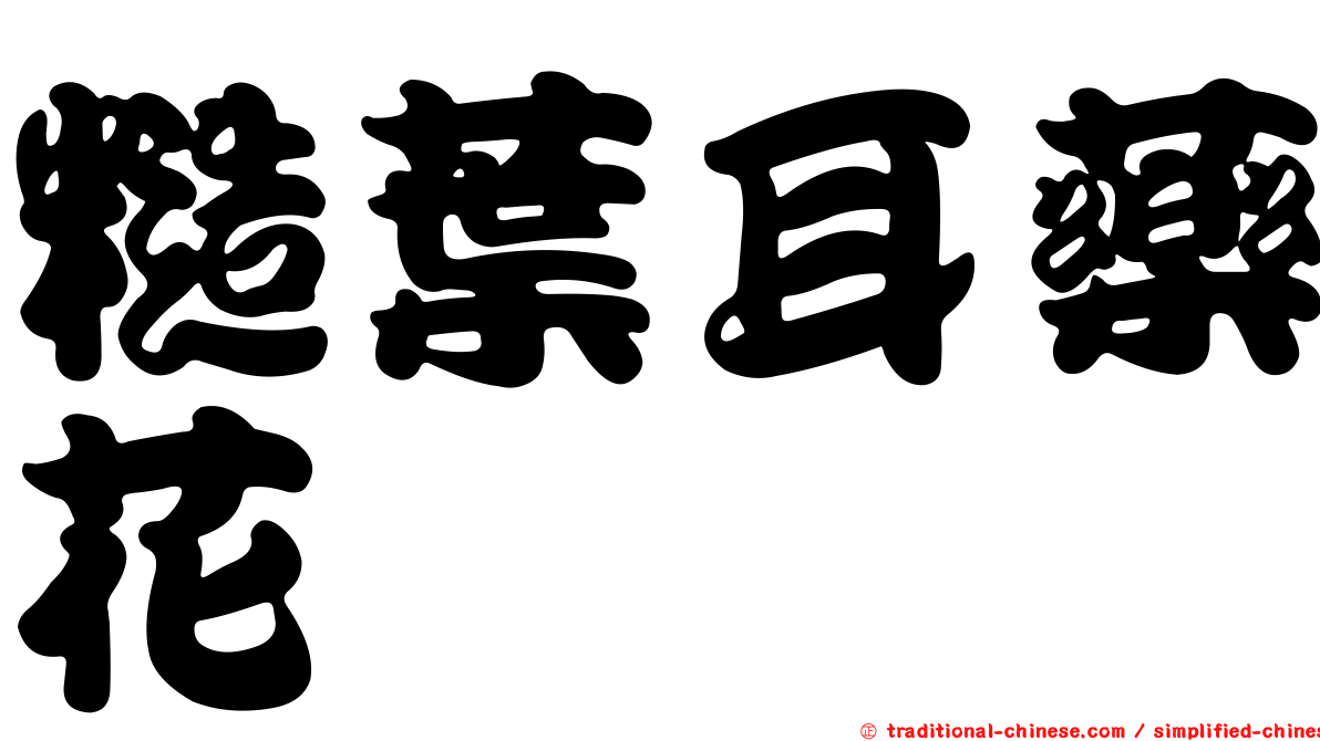 糙葉耳藥花