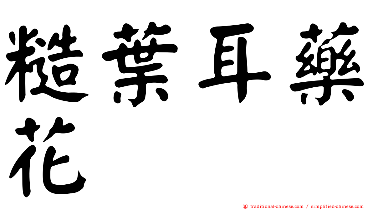 糙葉耳藥花
