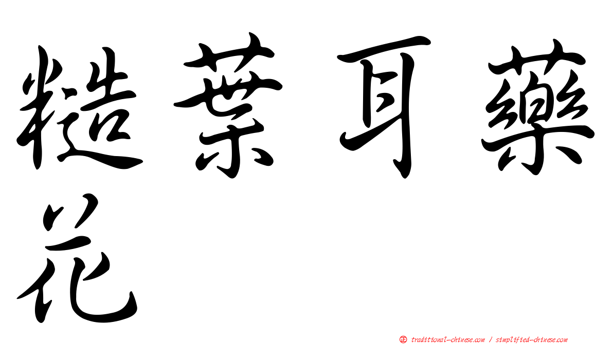 糙葉耳藥花