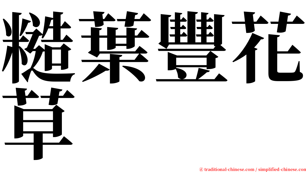 糙葉豐花草 serif font